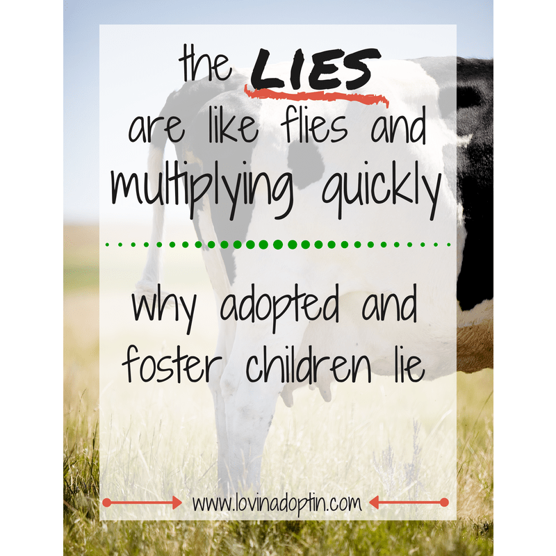 the lies are like flies and multiplying quickly- why adopted and foster children lie
