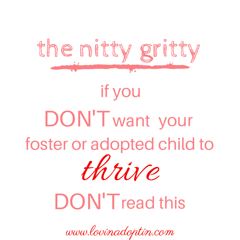the nitty gritty- if you DON'T want your foster or adopted child to thrive DON'T read this